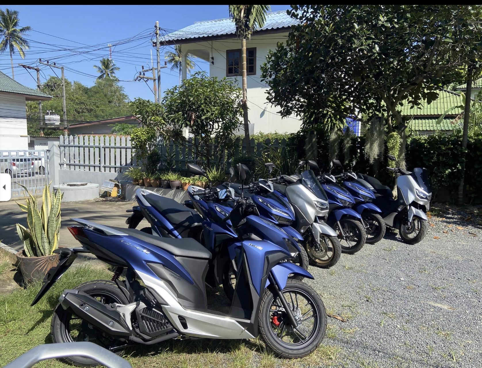 Car & Bike for rent