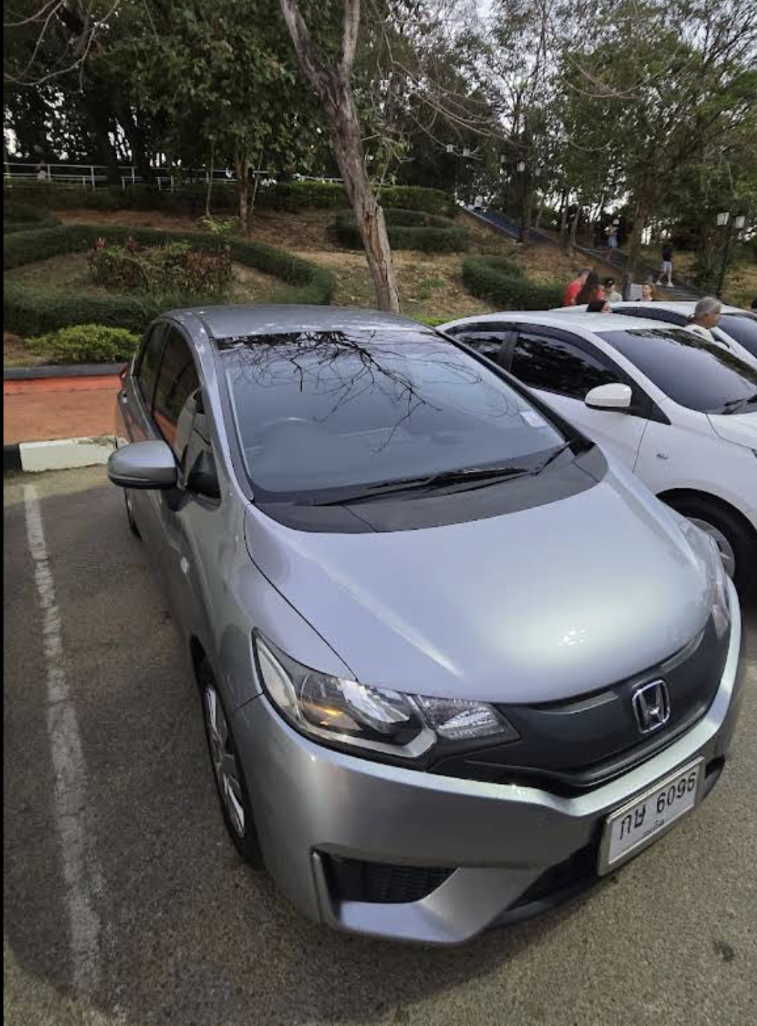 Honda Jazz for rent