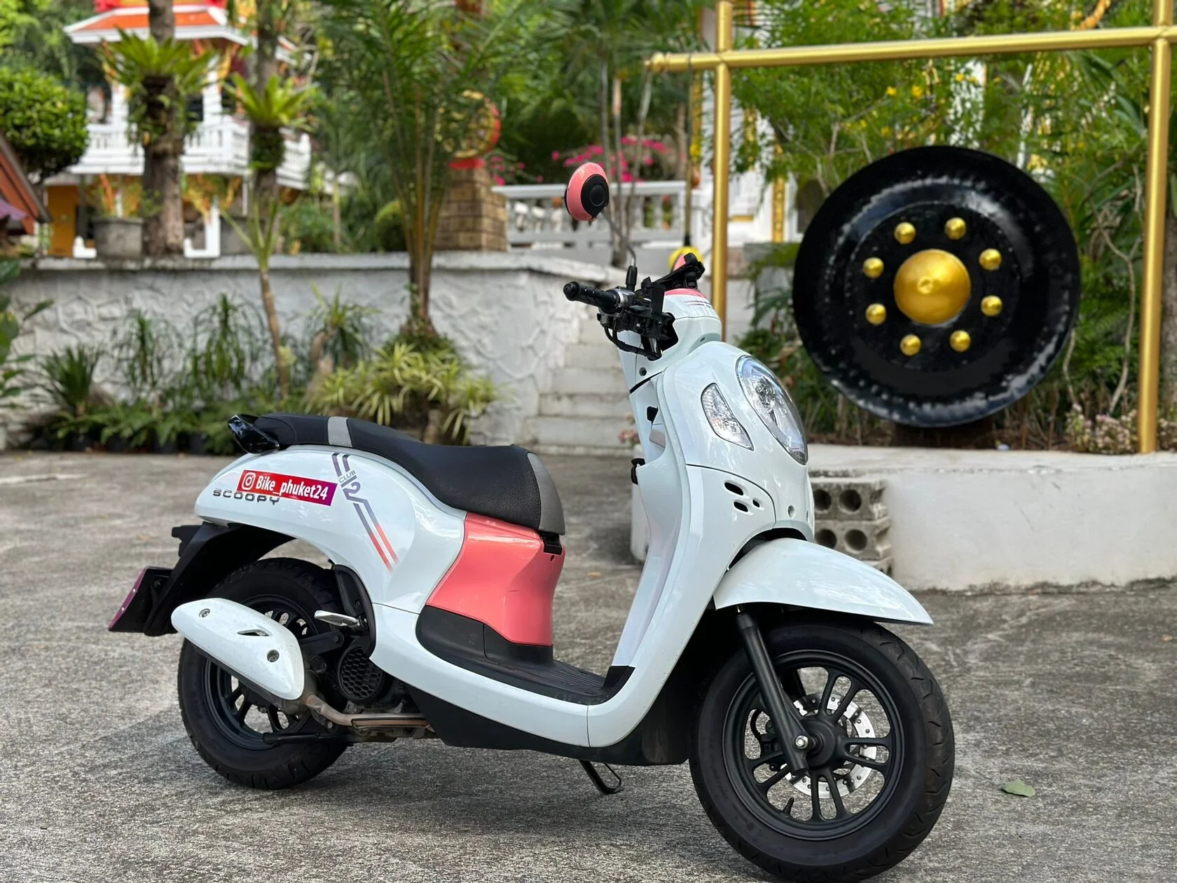 Honda Scoopy for rent