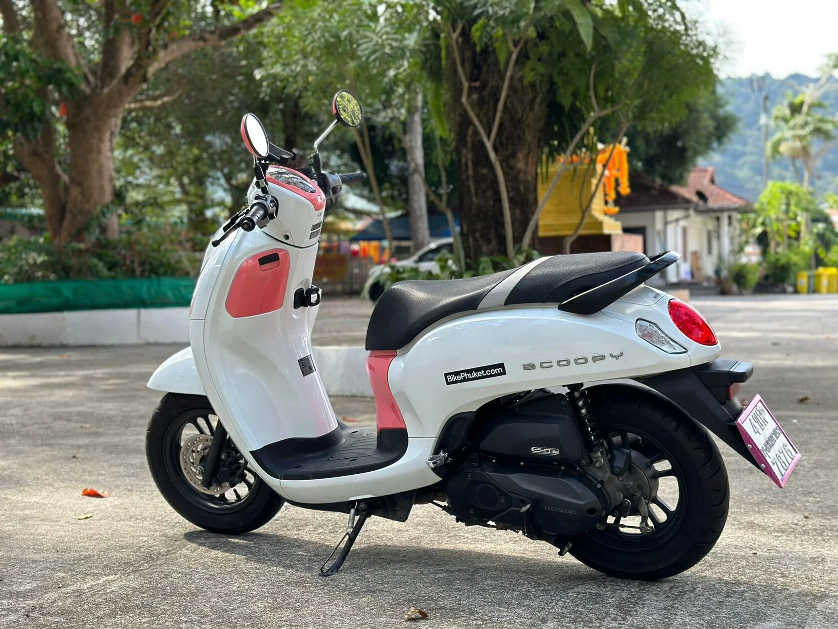 Honda Scoopy for rent