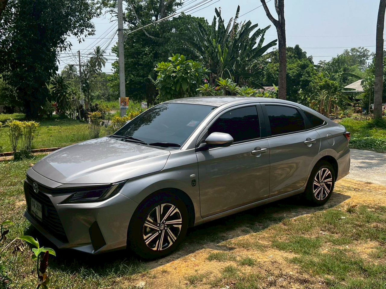 Car rental