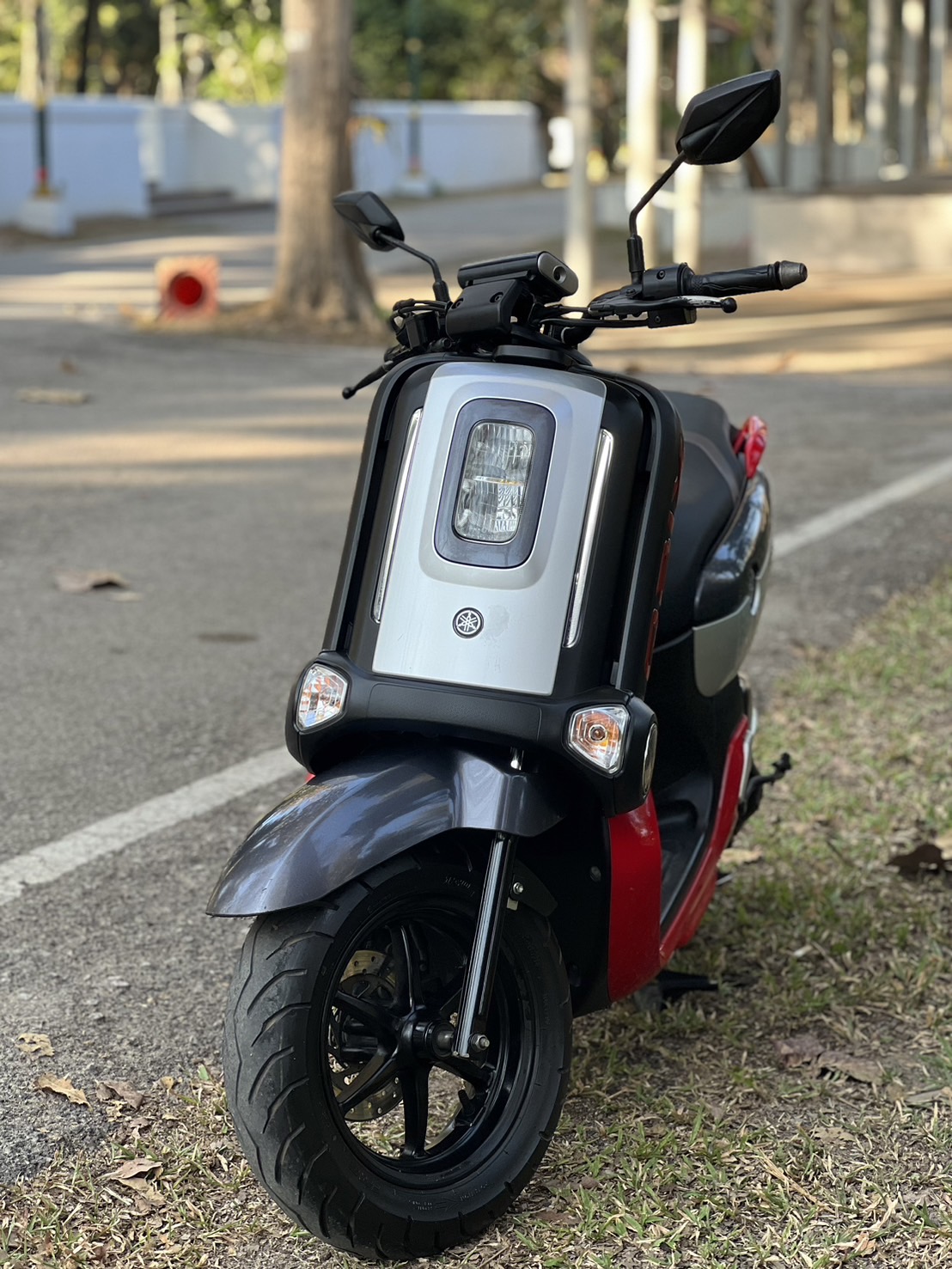 Yamaha Aerox 155cc for daily rent
