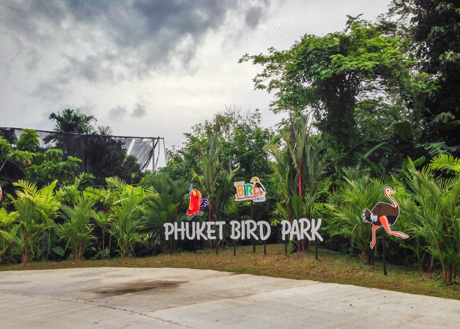 Phuket bird park show