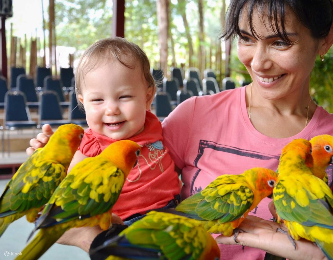 Phuket bird park show