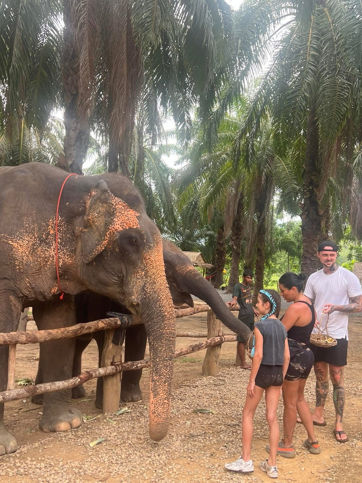 Krabi Gaoxing ATV Tour