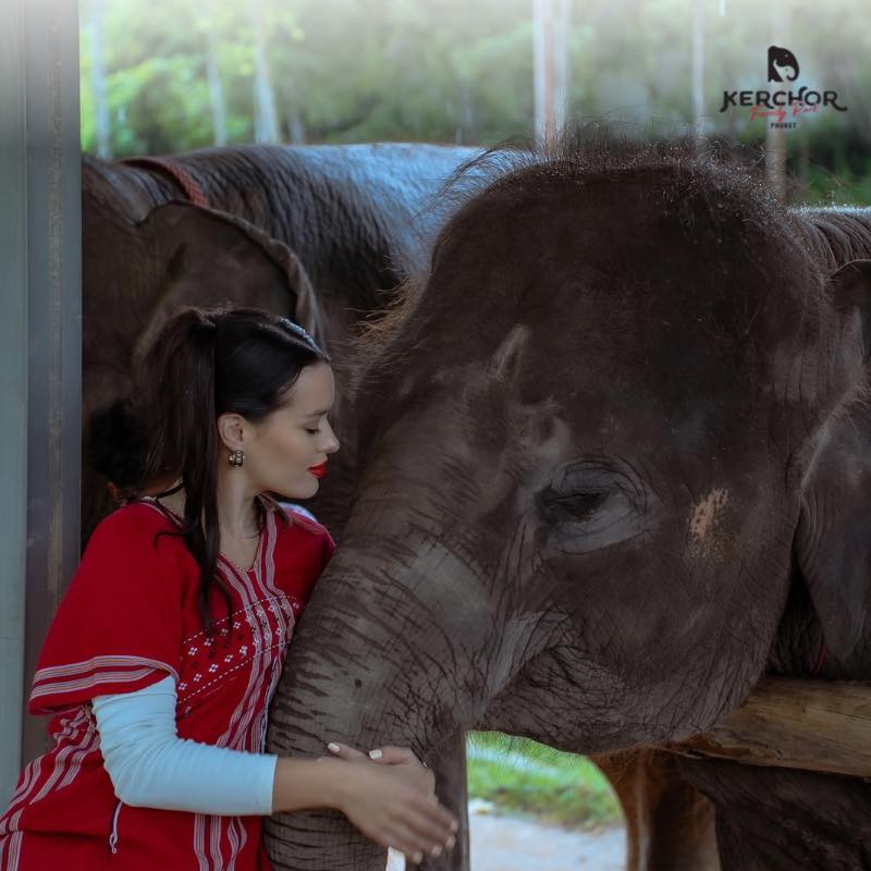 Kerchor Elephant Family Phuket 
