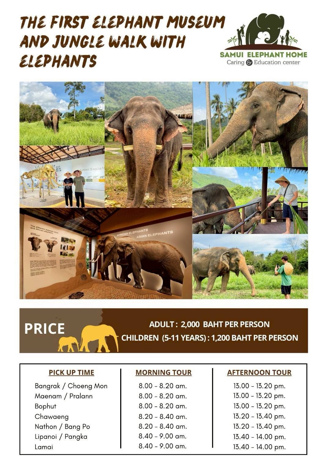 Elephant museum & jungle walk with Samui Elephant Home