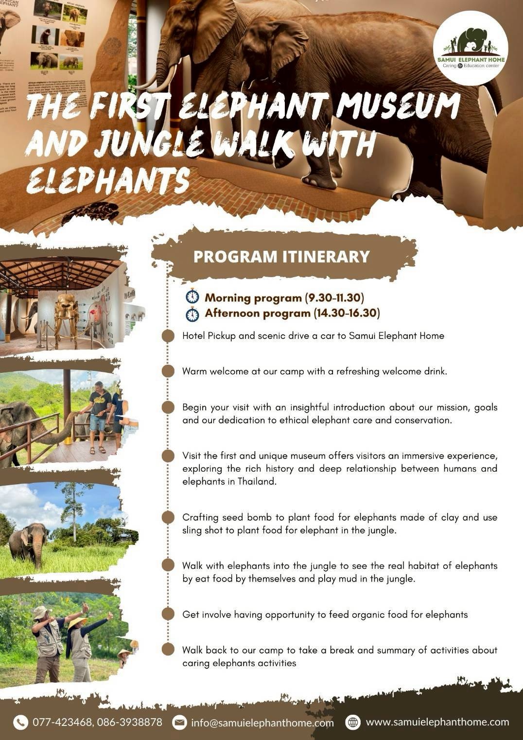 Elephant museum & jungle walk with Samui Elephant Home