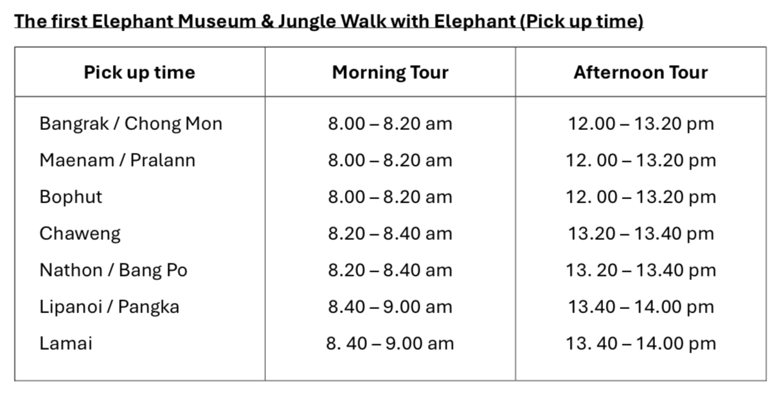 Elephant museum & jungle walk with Samui Elephant Home