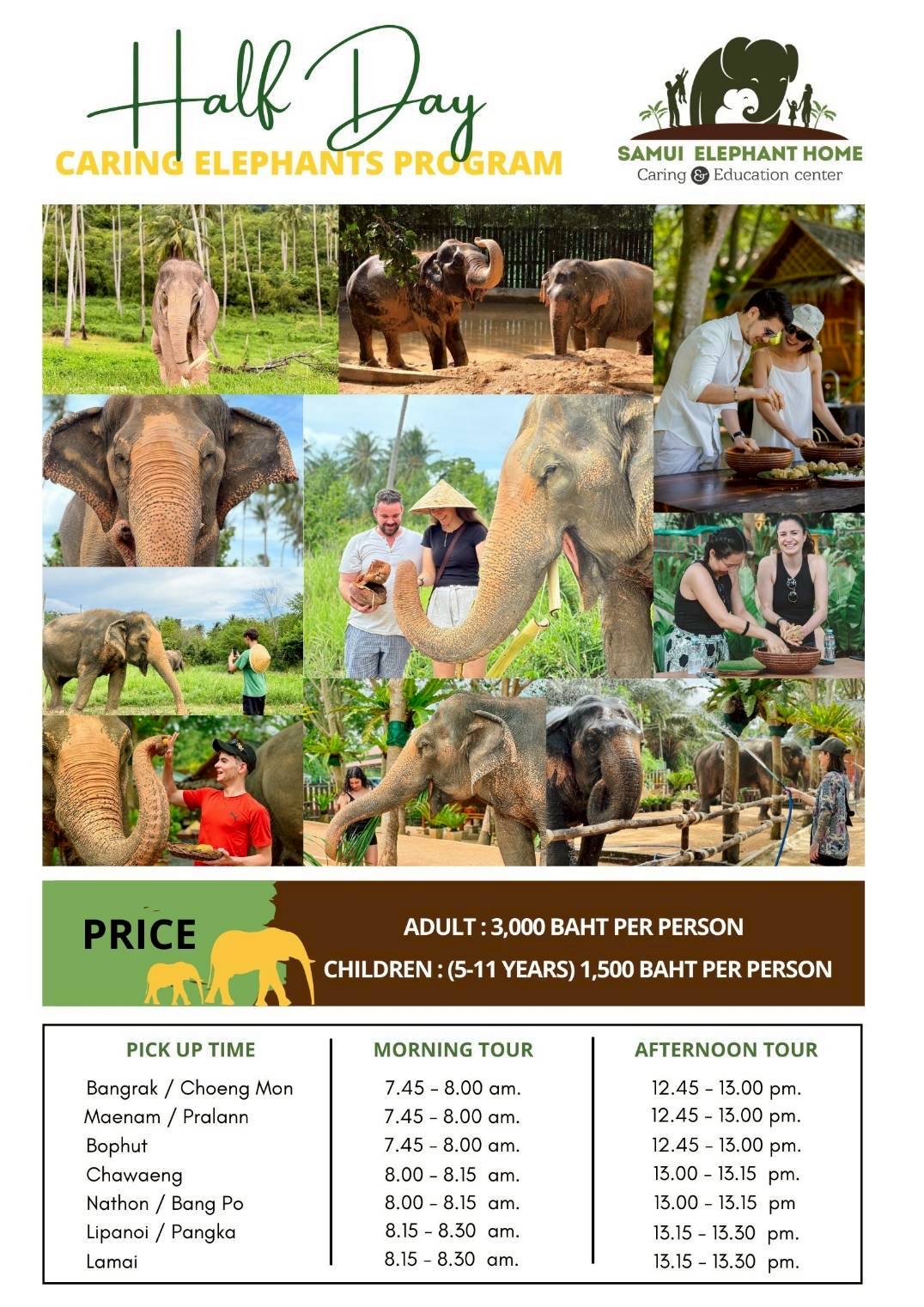 Half Day Caring Elephant with Samui Elephant Home