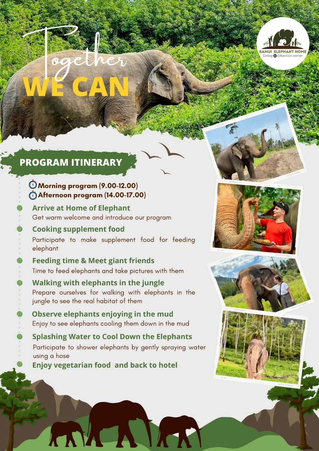 Half Day Caring Elephant with Samui Elephant Home