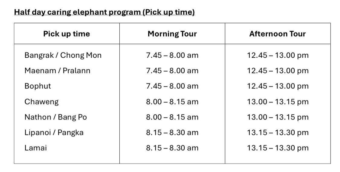 Half Day Caring Elephant with Samui Elephant Home