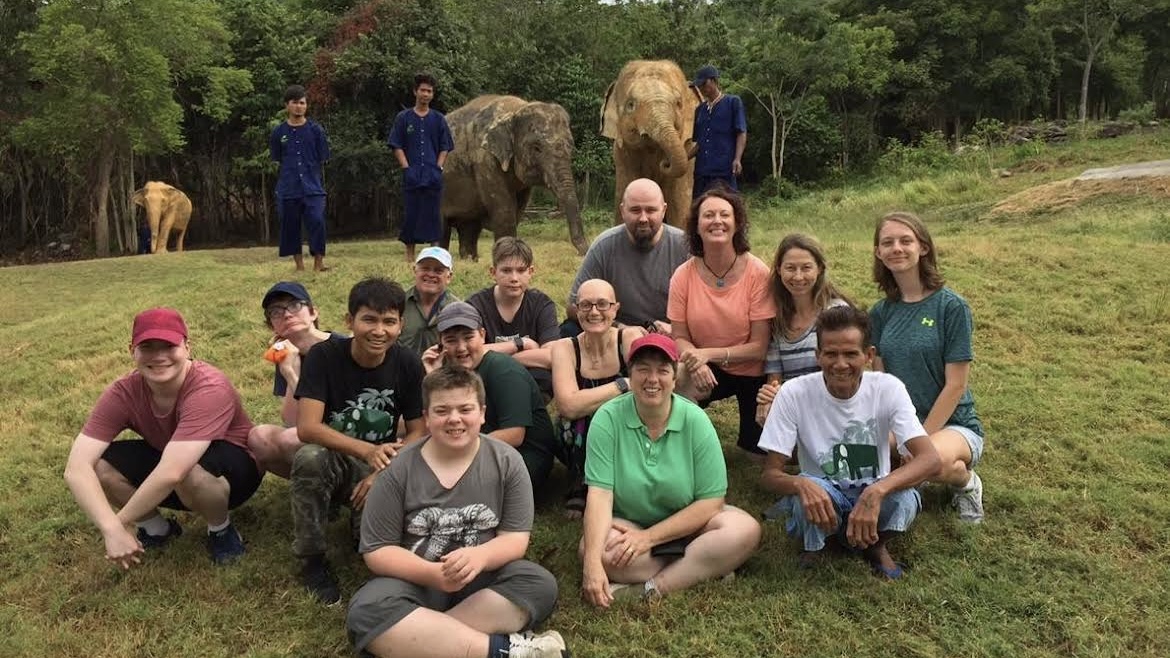 Elephant Feeding with Samui Elephant Haven 