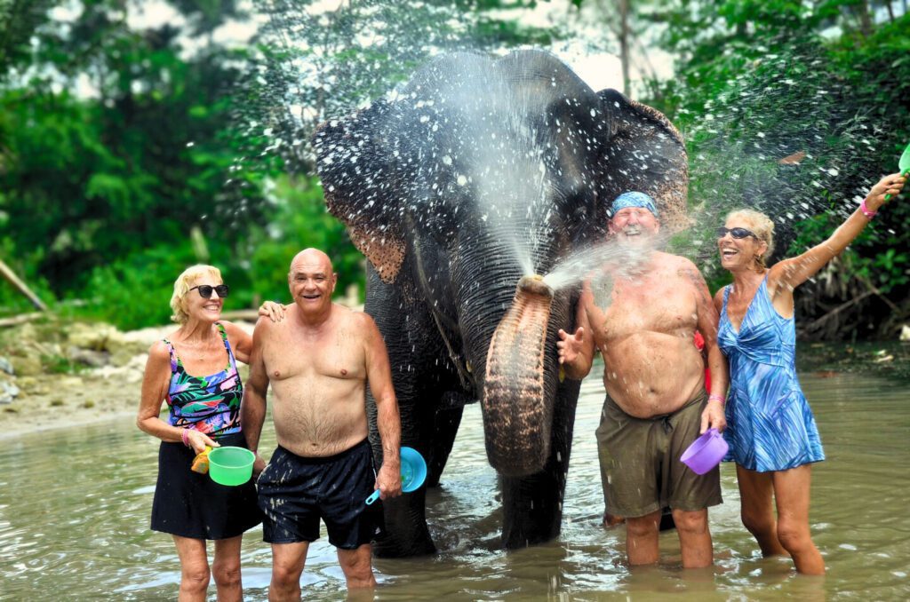 Tonsai Elephant Sanctuary Park Patong