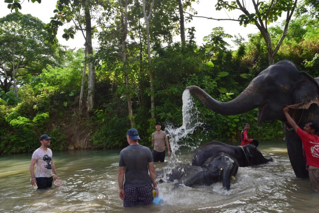 Tonsai Elephant Sanctuary Park Patong