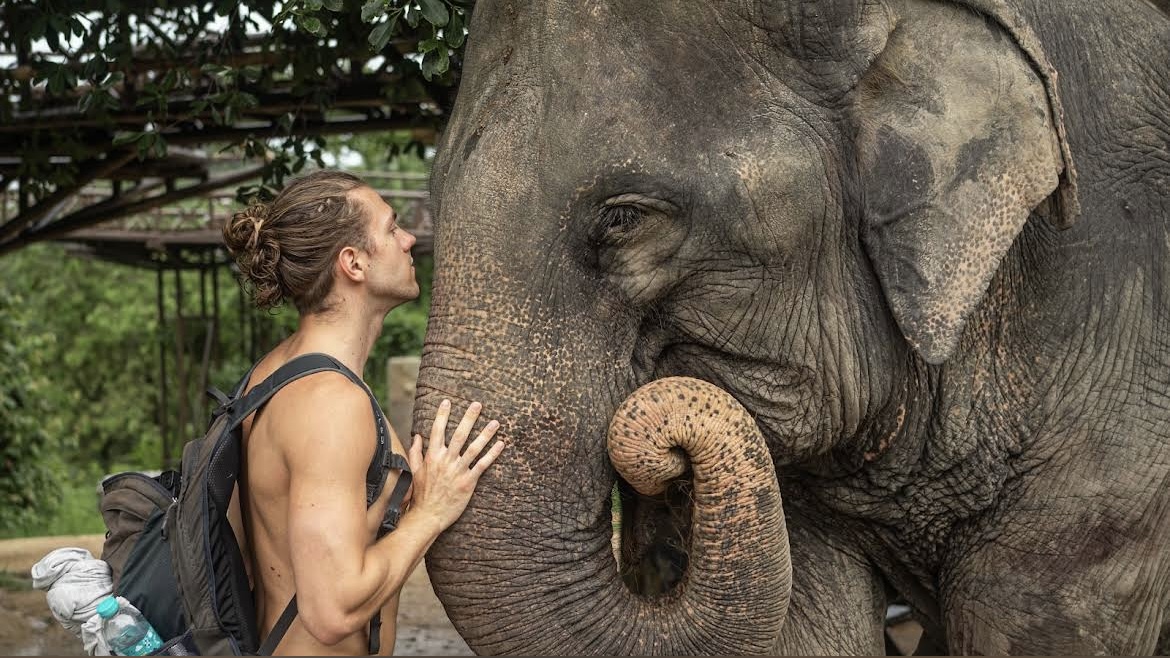 Elephant care with Samui Elephant Kingdom 