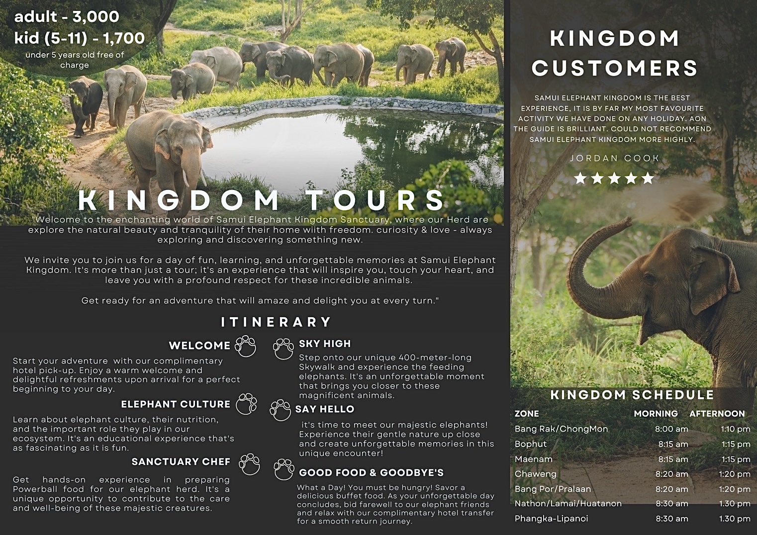 Elephant care with Samui Elephant Kingdom 