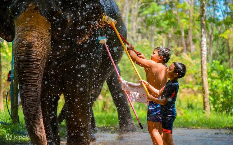 Kalim Elephant camp Chang