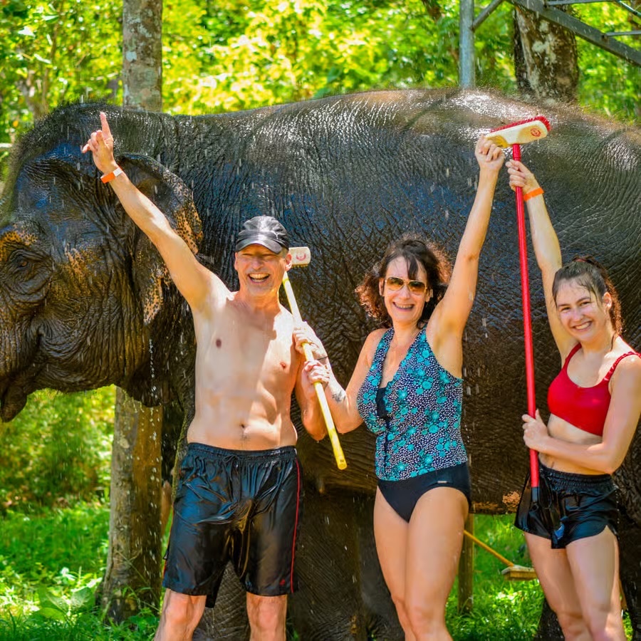 Kalim Elephant camp Chang