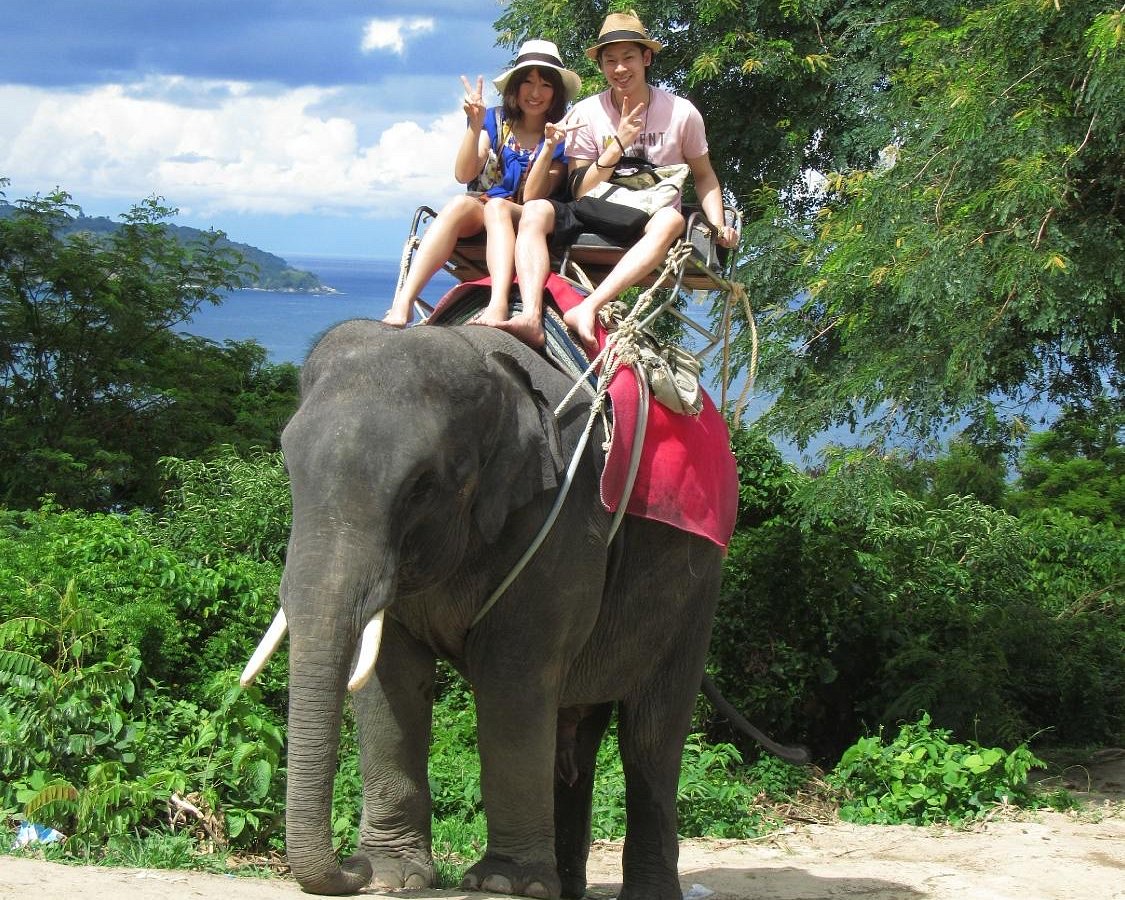 Kalim Elephant camp Chang