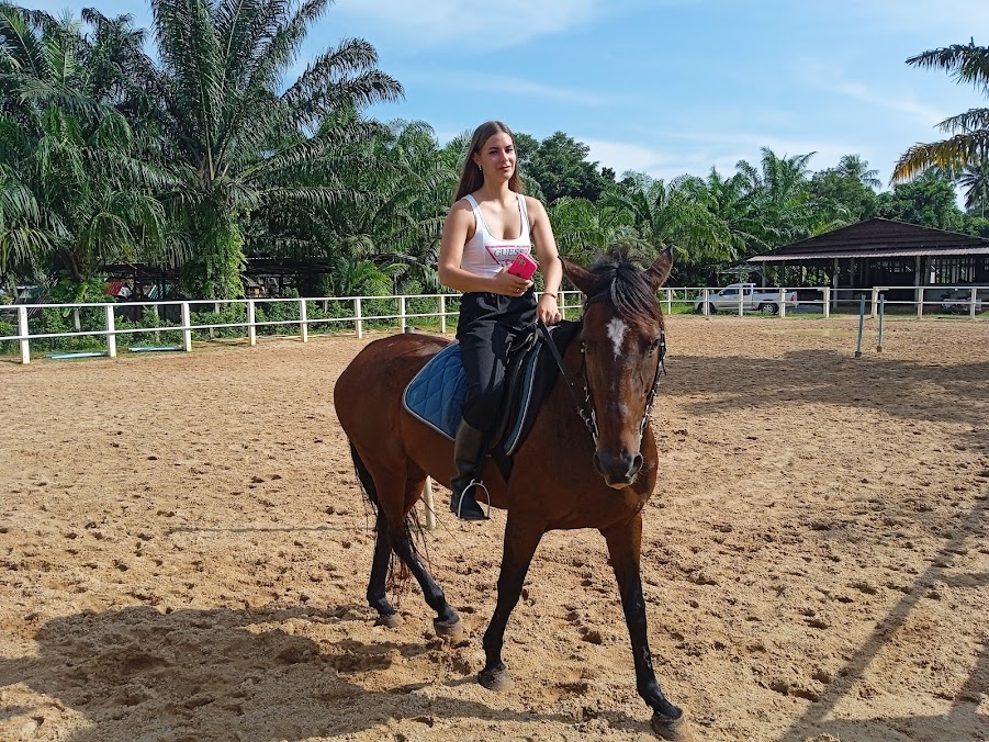 Phuket Horse Riding On the Beach