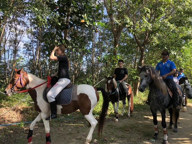 Phuket Horseback Riding Through Jungle Trails & Big Buddha Hills
