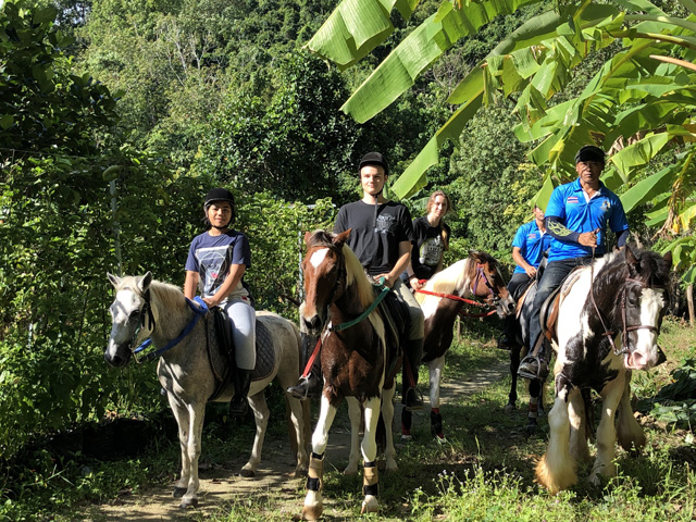 Phuket Horseback Riding Through Jungle Trails & Big Buddha Hills
