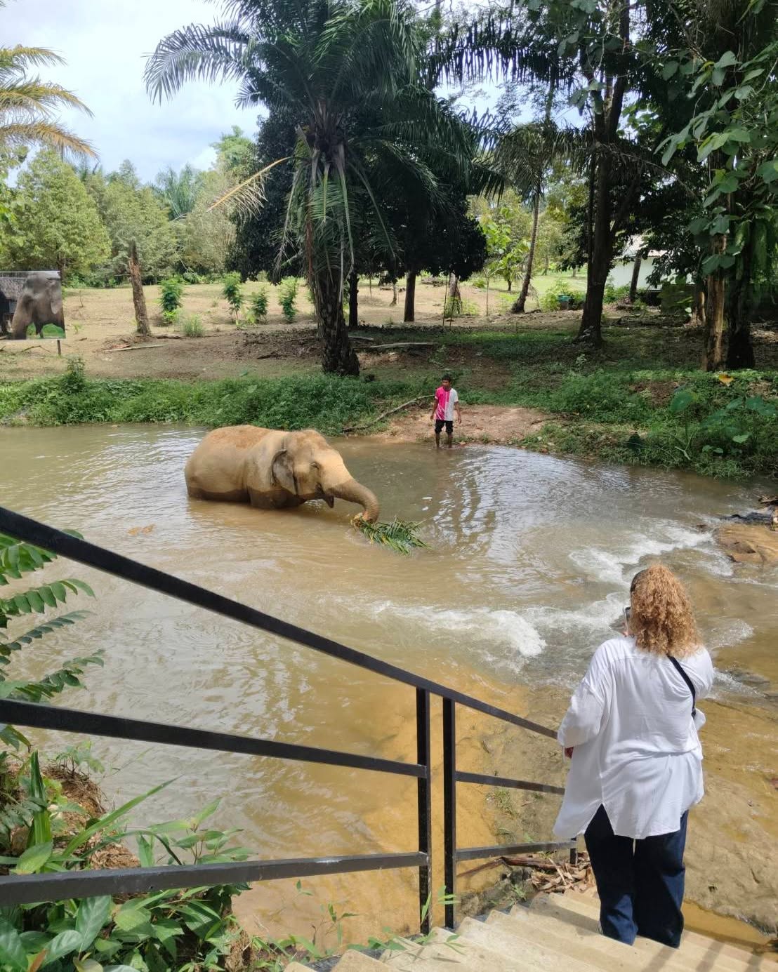 Khao Lak Ethical Elephant Sanctuary Experiences