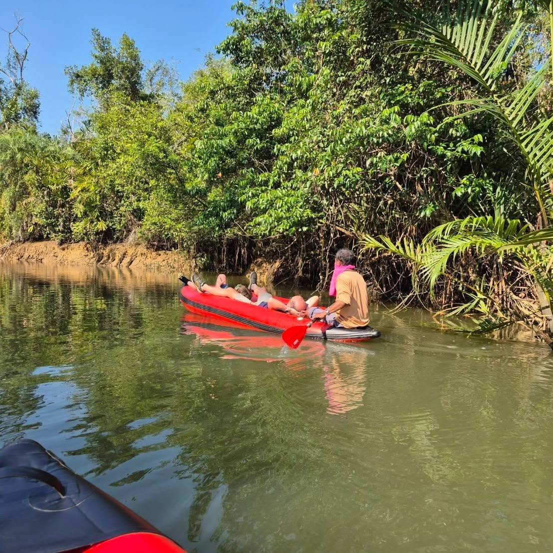 Khao Lak Ethical Elephant Sanctuary Experiences