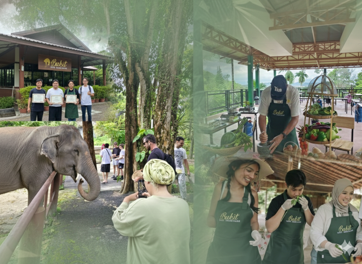 Thai cooking class & elephant feeding 