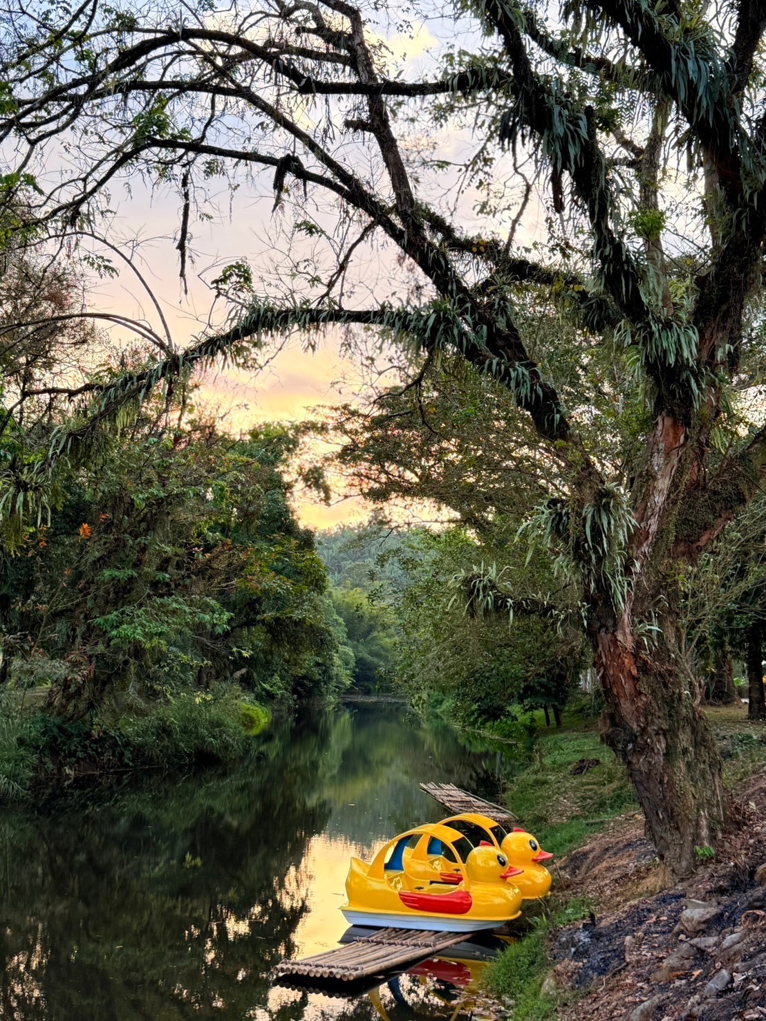 Adventure, Bamboo Rafting, Kayaking, Elephants, ATV, Paddle Boats
