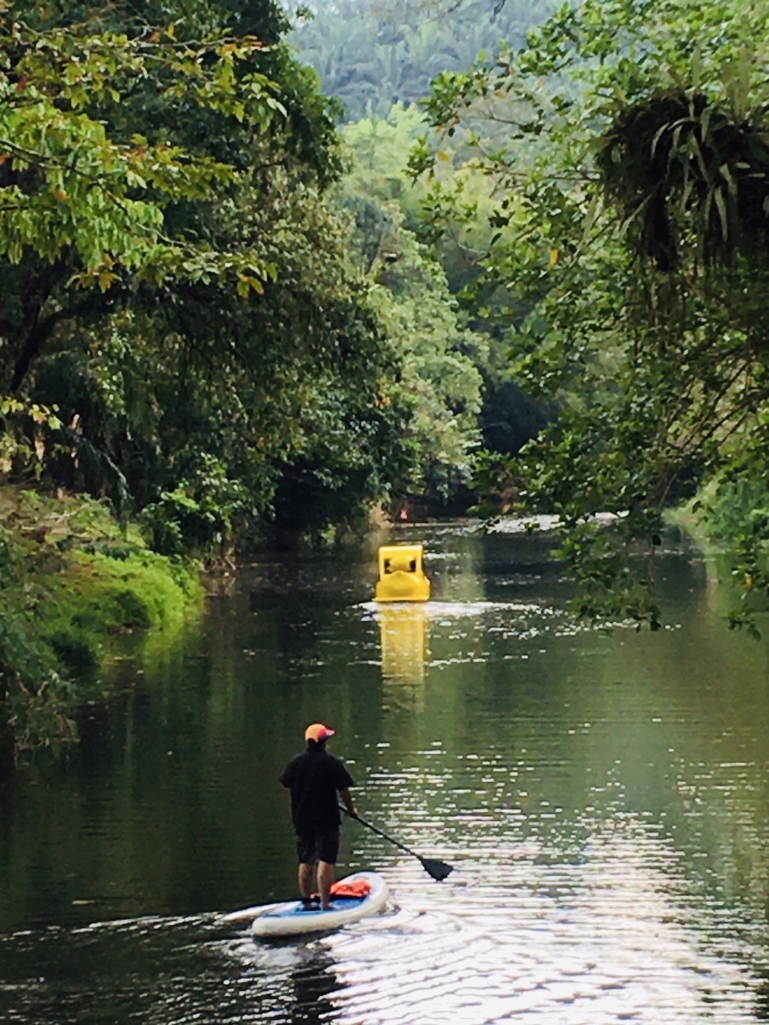 Adventure, Bamboo Rafting, Kayaking, Elephants, ATV, Paddle Boats