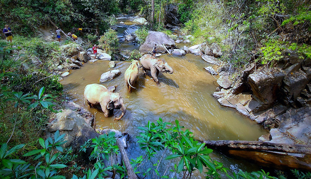 Blue Elephant Ethical Elephant Sanctuary Chiang Mai