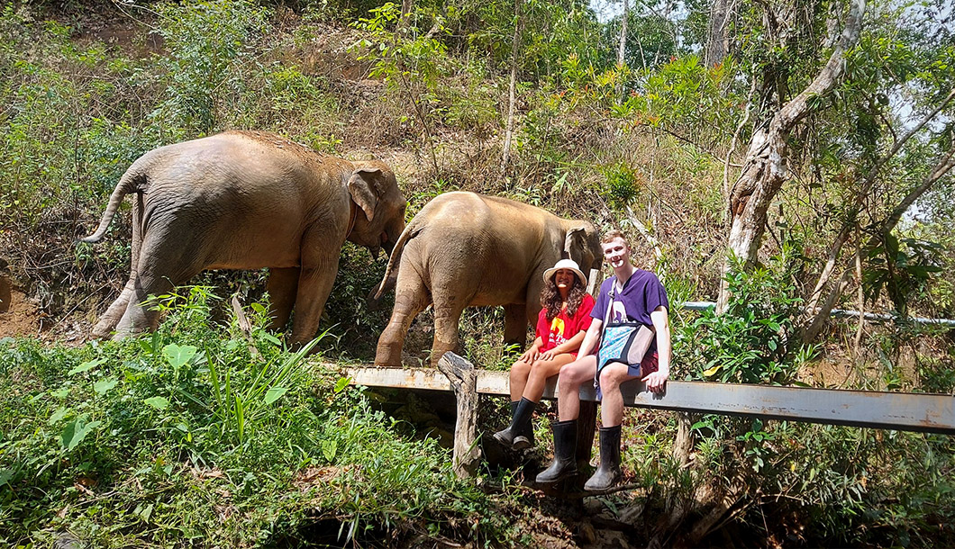 Blue Elephant Ethical Elephant Sanctuary Chiang Mai