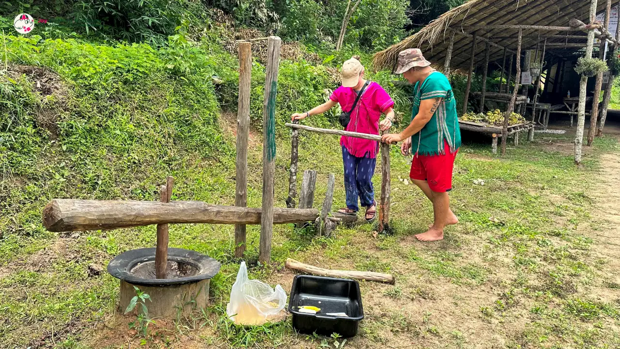 Elephant Observation & Cultural Activities by Joy Elephant Sanctuary