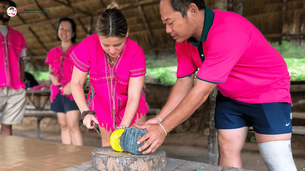 Elephant Observation & Cultural Activities by Joy Elephant Sanctuary
