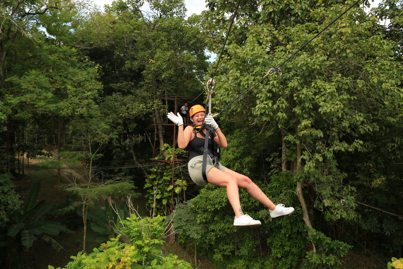 Phoenix Adventure Park, Zipline, High Rope, Train, Sheep Farm, Fly Line activities