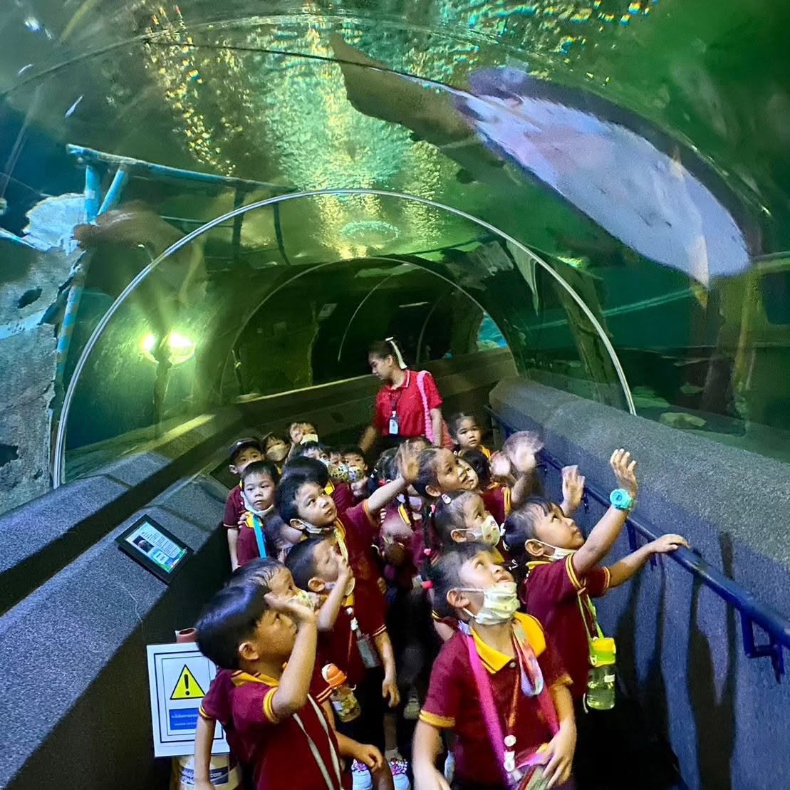 Underwater World Pattaya Admission Ticket 105-Metre Aquarium Tunnel & Feeding Shows