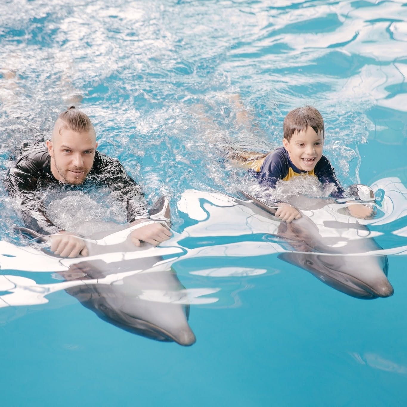 Pattaya Dolphinarium Dolphin & Seal Show Admission Ticket