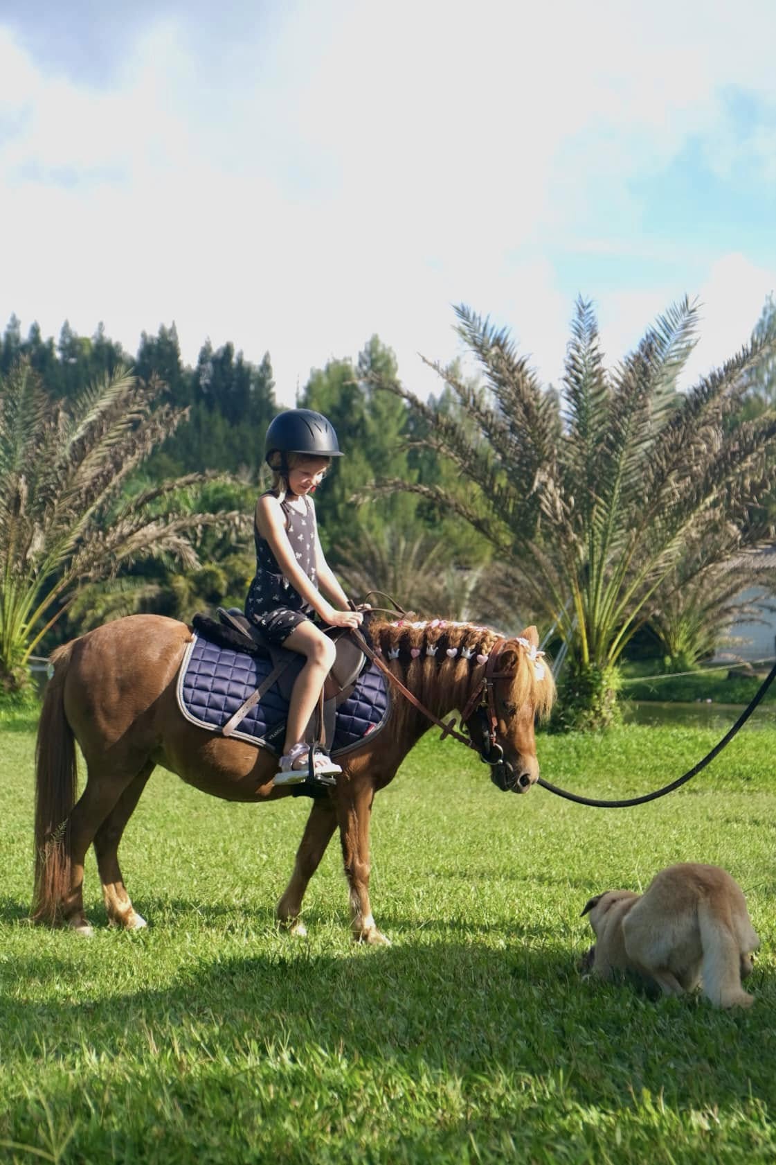 Hidden Lake Hill Horse Riding Experience in Koh Samui