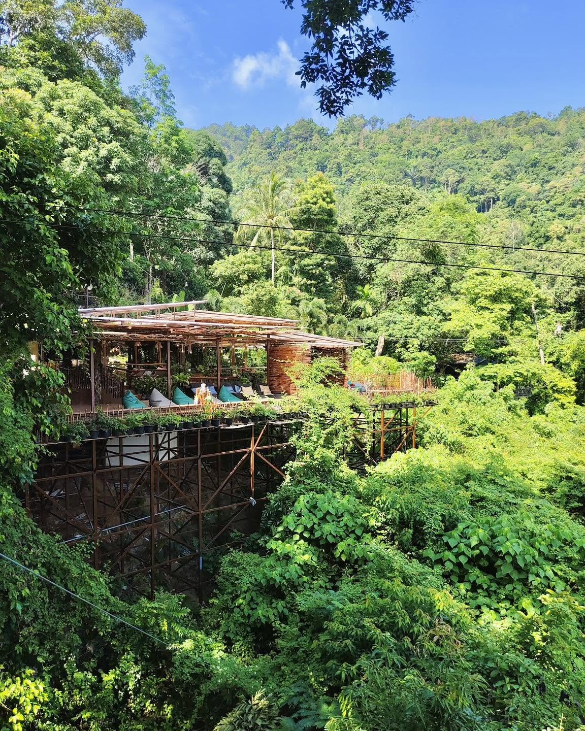 Tree Bridge Zipline Koh Samui 10-Cable Jungle Adventure