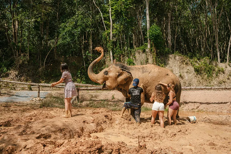 Love Elephant Sanctuary Krabi