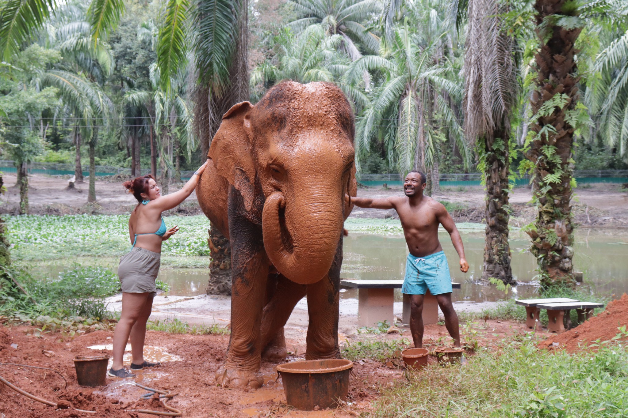 Krabi Elephant Shelter