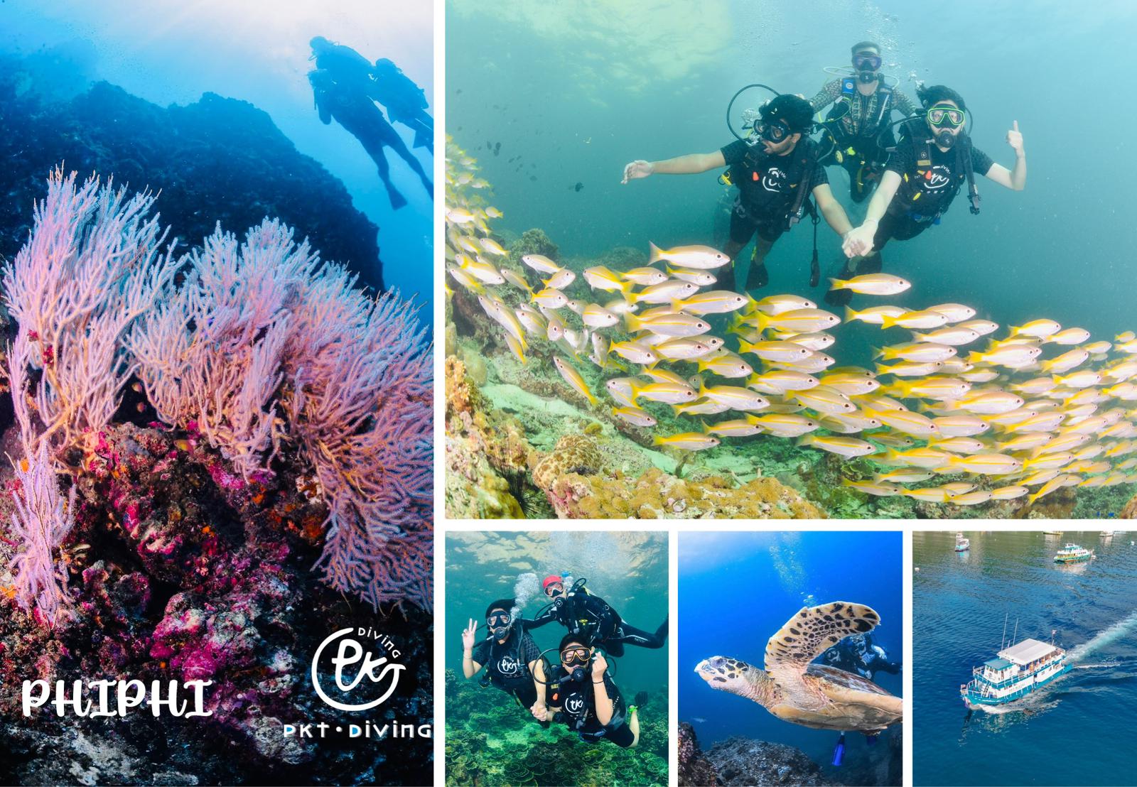 Phi Phi Island Discover Scuba Diving with PKT Diving