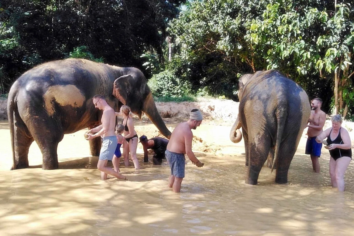 Khao Lak Safari Full Day