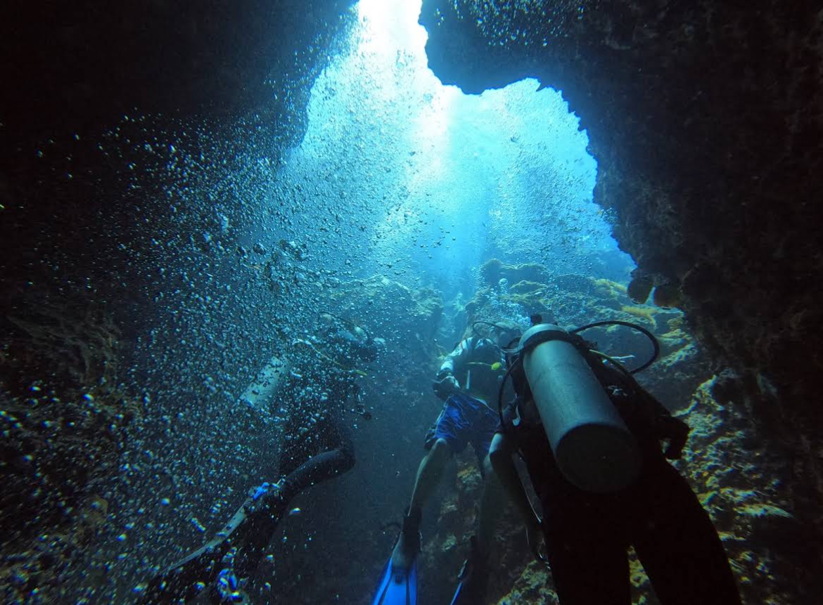 Dive Tours for Certified Divers in Sail Rock or Koh Tao