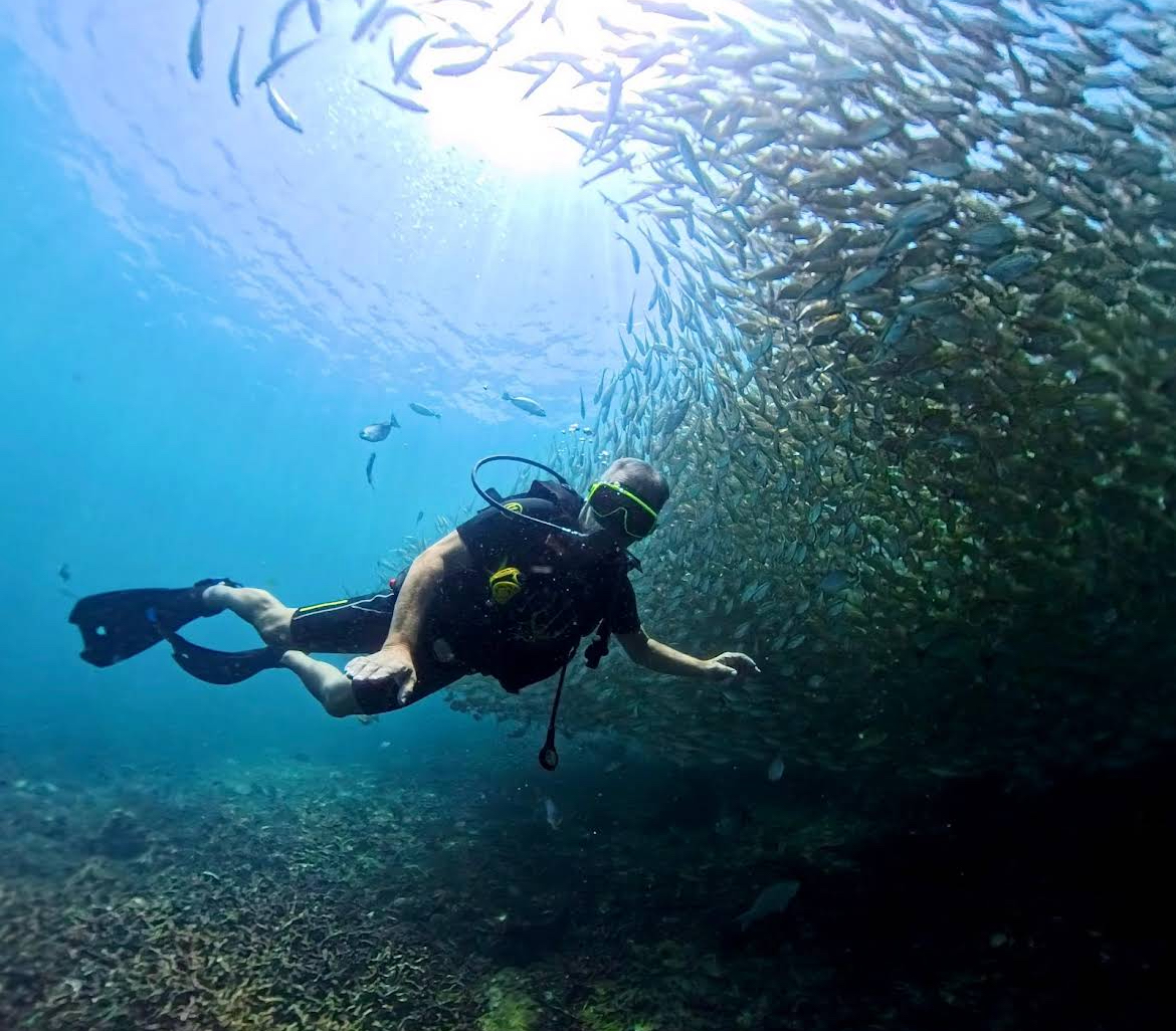 Dive Tours for Certified Divers in Sail Rock or Koh Tao
