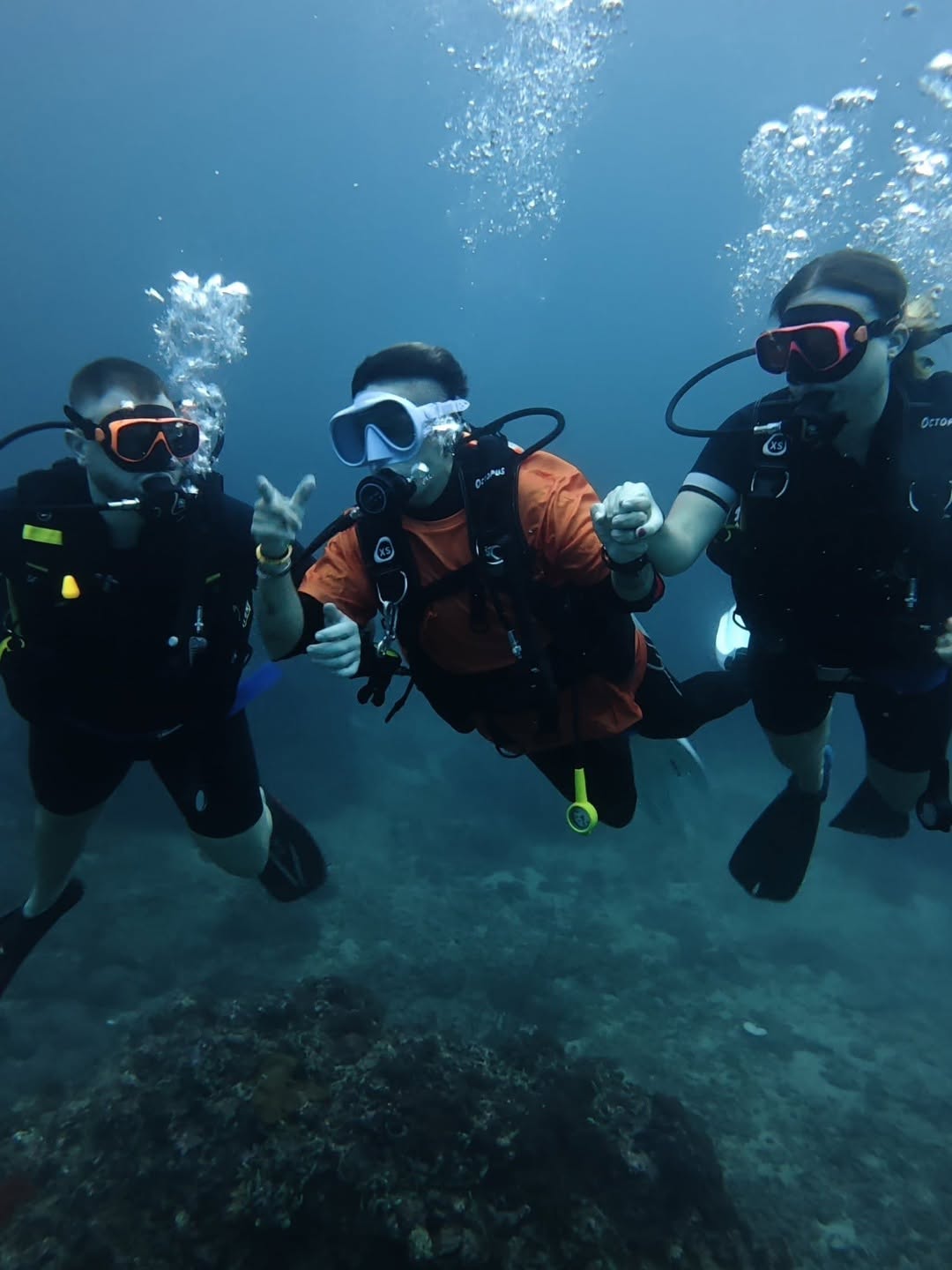 Scuba Diving in Phi Phi Island with Phi Phi Sea Frog Fun Dives, Try Dives & SSI Courses
