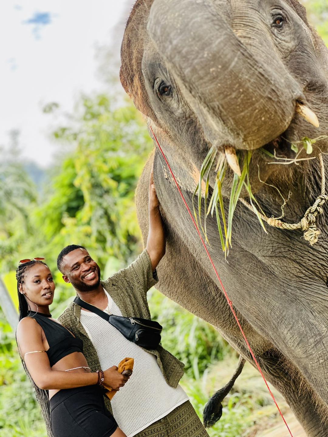 Phuket City Tour with Tiger, Big Buddha, Chalong Temple, ATV Ride, Elephant Trekking