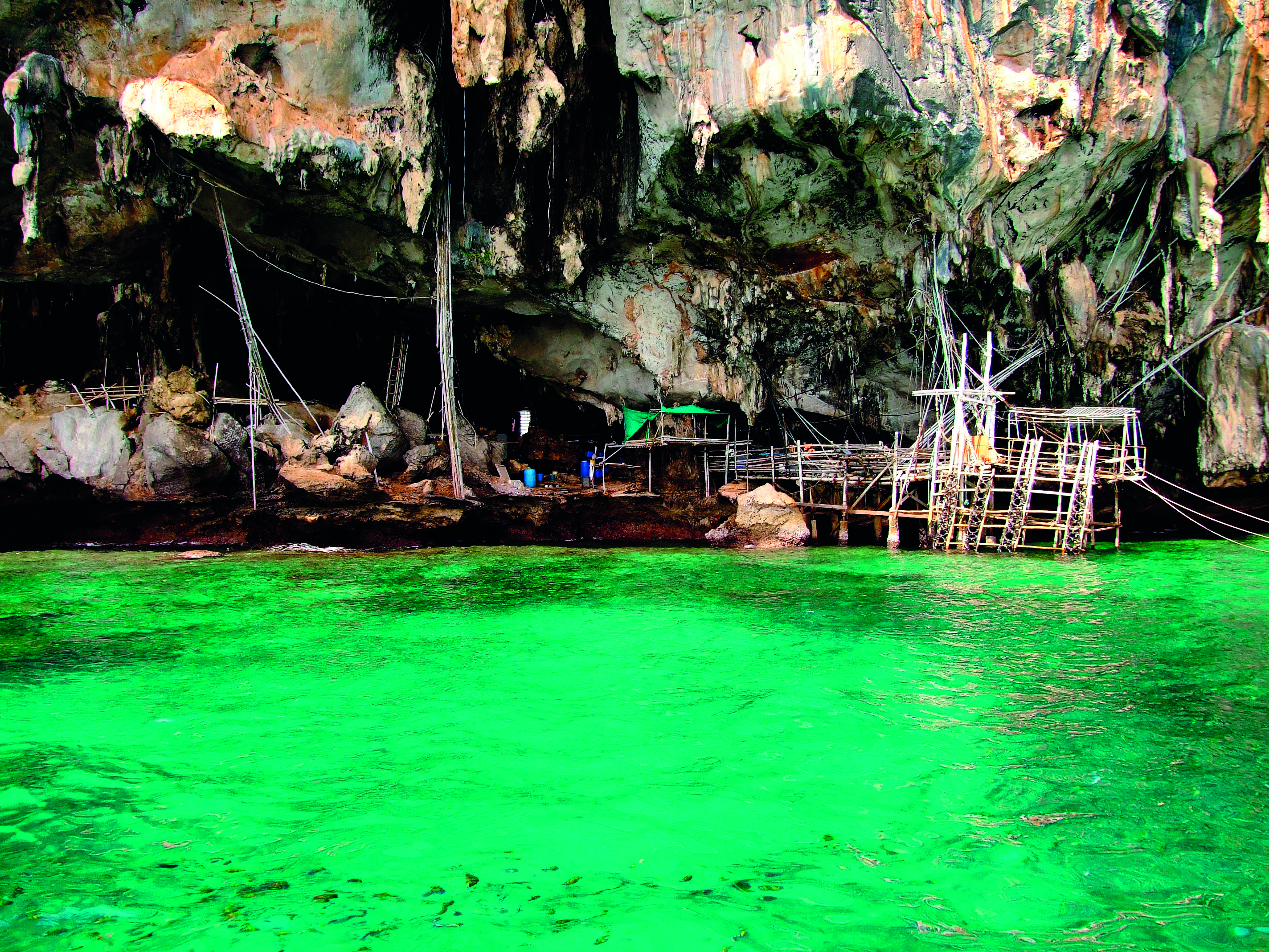 Premium Phi Phi, Maya Bay Beach And Bamboo island tour with speed catamaran
